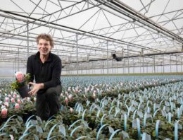 ‘Folie om de bovenkant van de pot levert louter voordelen op’