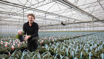 ‘Folie om de bovenkant van de pot levert louter voordelen op’