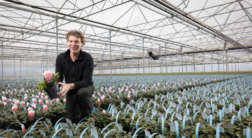 ‘Folie om de bovenkant van de pot levert louter voordelen op’