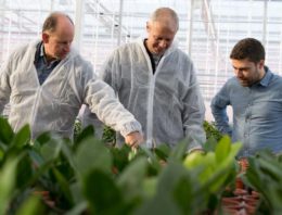 ‘We hopen dat HNT bijdraagt aan een betere plantkwaliteit’