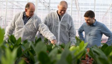 ‘We hopen dat HNT bijdraagt aan een betere plantkwaliteit’