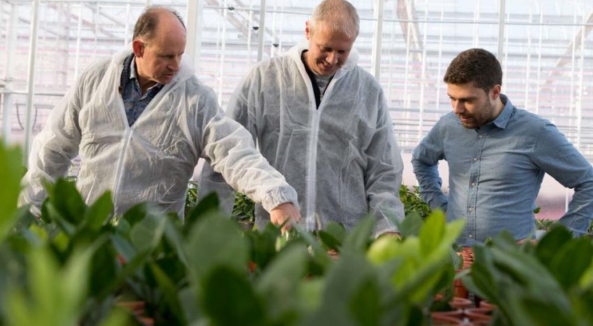 ‘We hopen dat HNT bijdraagt aan een betere plantkwaliteit’