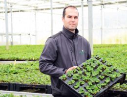 Waterbehandeling met koperionen reduceert aantal bespuitingen