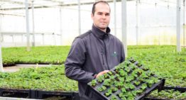 Waterbehandeling met koperionen reduceert aantal bespuitingen