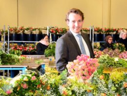 ‘Invloed op de keten begint met eigen binderij en partnership met telers’