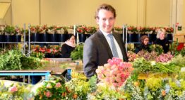 ‘Invloed op de keten begint met eigen binderij en partnership met telers’