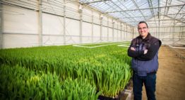 Bollenteler kiest ontsmettingstechniek vanuit de glastuinbouw