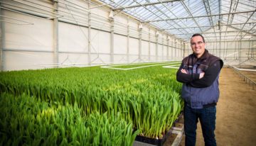 Bollenteler kiest ontsmettingstechniek vanuit de glastuinbouw