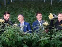 ‘Het persoonlijke contact met klanten werkt motiverend’