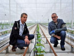 Grote verschillen bij acceptatie nullozer door bevoegd gezag