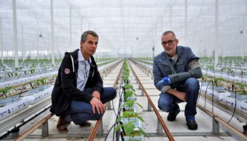 Grote verschillen bij acceptatie nullozer door bevoegd gezag