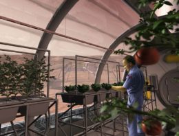 Wageningen UR brengt ideale teeltlocatie Mars in kaart
