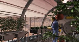 Wageningen UR brengt ideale teeltlocatie Mars in kaart