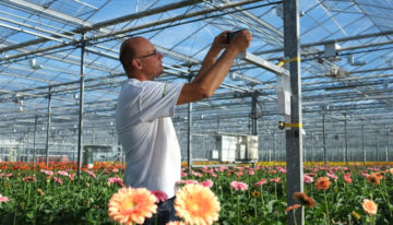 Nieuwe AR-coating verbetert lichttransmissie door kasdek