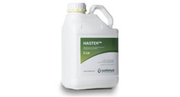 Positief resultaat Vertimec met Hasten in tomaat