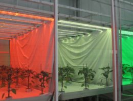 Denken over licht in nieuw project
