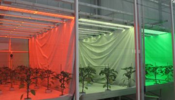 Denken over licht in nieuw project