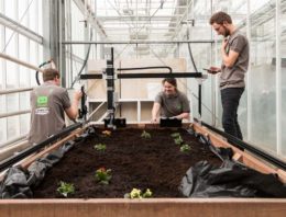 Van Hall Larenstein zet Farmbot in bij studieproject