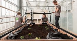 Van Hall Larenstein zet Farmbot in bij studieproject