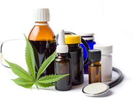 Canadese bedrijven lopen voorop in productie legale cannabis