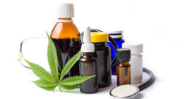 Canadese bedrijven lopen voorop in productie legale cannabis