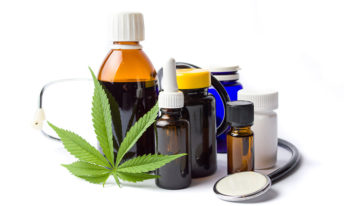 Glastuinbouw Nederland pleit voor legalisatie medicinale cannabisteelt