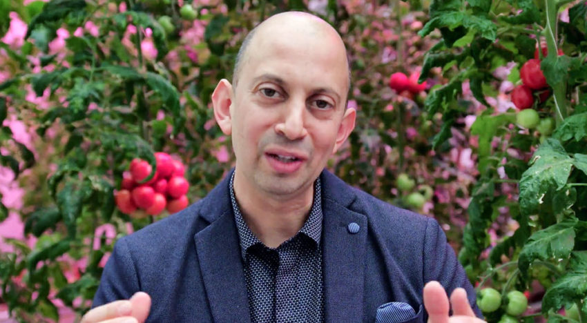 Wageningen UR organiseert internationale wedstrijd zelftelende tuinbouwkassen