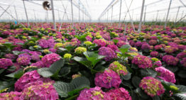 Workshops voor standaardisatie footprint-berekening