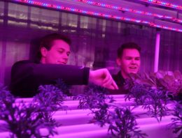 Aeres Hogeschool organiseert minisymposium Smart Horticulture