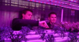 Aeres Hogeschool organiseert minisymposium Smart Horticulture