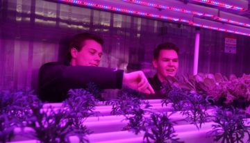 Aeres Hogeschool organiseert minisymposium Smart Horticulture