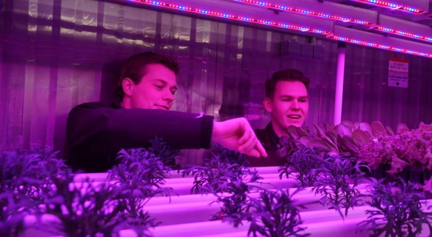 Aeres Hogeschool organiseert minisymposium Smart Horticulture