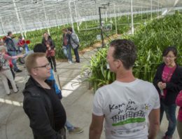 Circa 200 glastuinders doen mee aan Kom in de Kas 2018