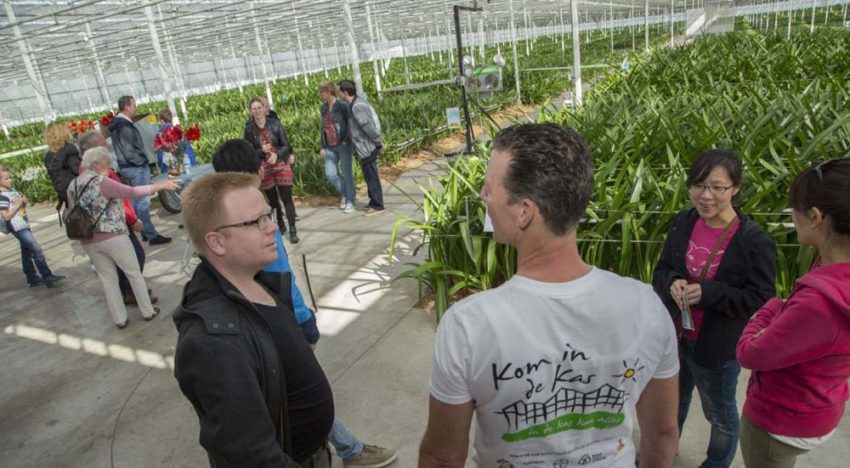 Circa 200 glastuinders doen mee aan Kom in de Kas 2018