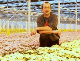 Systeemaanpak mineervlieg moet leiden tot een duurzame chrysantenteelt