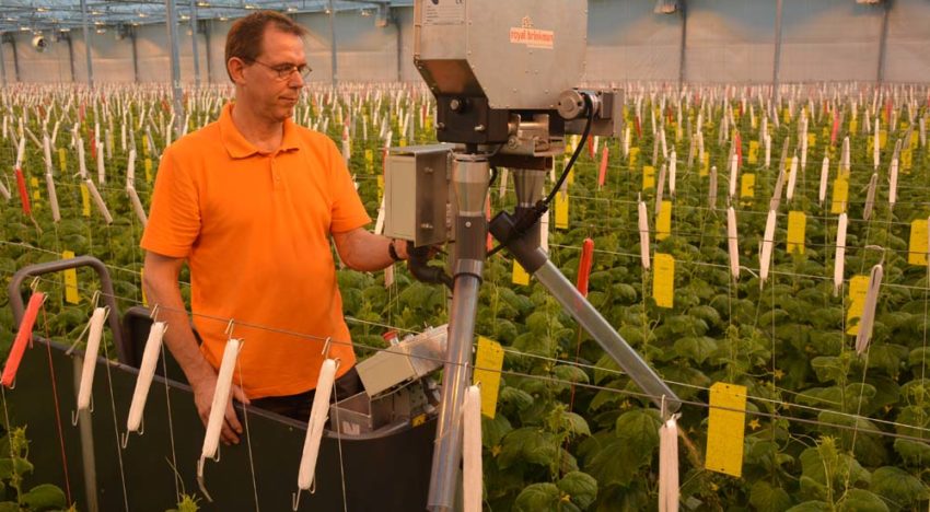 ‘Biologische bestrijders exact op de ‘plaats delict’ in het gewas’ ‘Biologische bestrijders exact op de ‘plaats delict’ in het gewas’