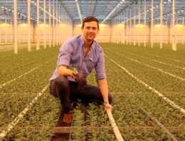 Weerbaar telen is een stukje van de plantgezondheidspuzzel