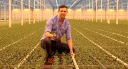Weerbaar telen is een stukje van de plantgezondheidspuzzel