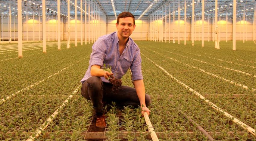 Weerbaar telen is een stukje van de plantgezondheidspuzzel