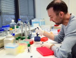 Meten activiteit van genen maakt teeltbeslissingen gemakkelijker