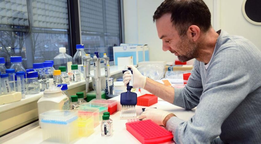 Meten activiteit van genen maakt teeltbeslissingen gemakkelijker