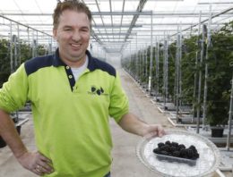 ‘In Nederland is nog volop potentie voor consumptiestijging’
