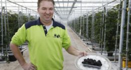 ‘In Nederland is nog volop potentie voor consumptiestijging’