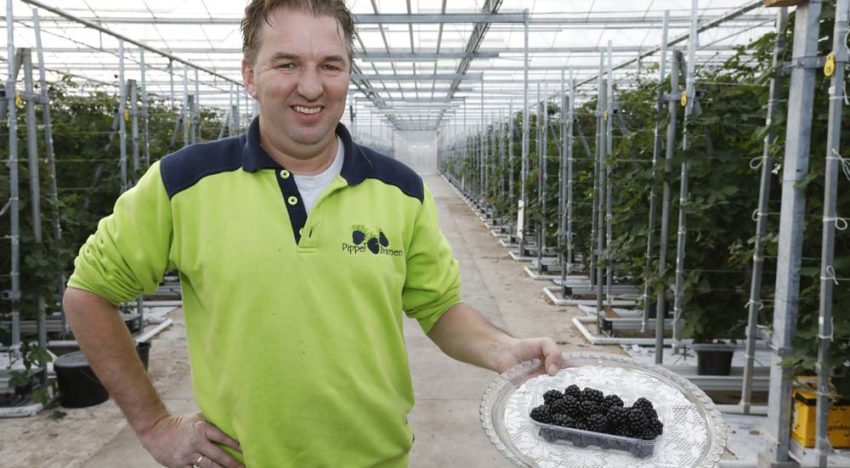 ‘In Nederland is nog volop potentie voor consumptiestijging’