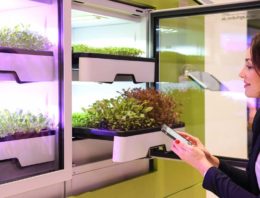Duitse start-up lanceert slimme mini-kas voor verticale teelt in huiskamer