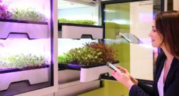 Duitse start-up lanceert slimme mini-kas voor verticale teelt in huiskamer