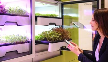 Duitse start-up lanceert slimme mini-kas voor verticale teelt in huiskamer