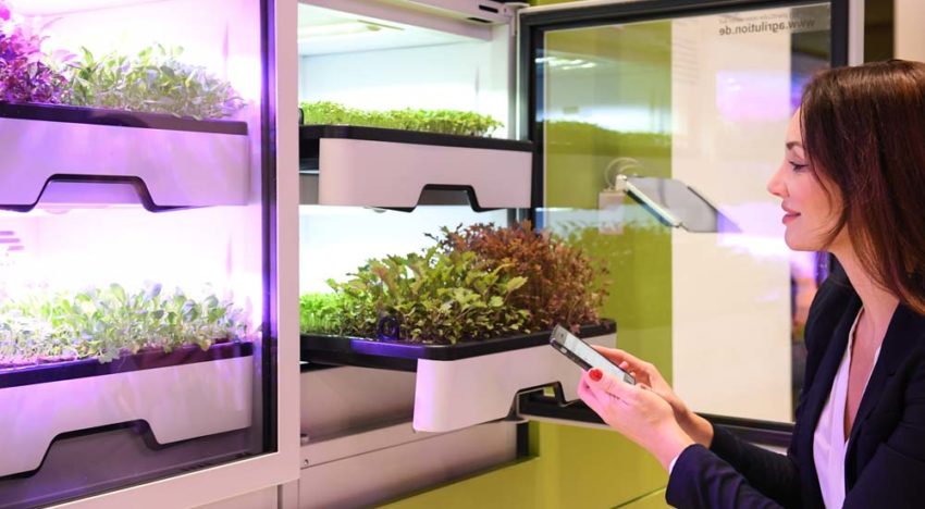 Duitse start-up lanceert slimme mini-kas voor verticale teelt in huiskamer