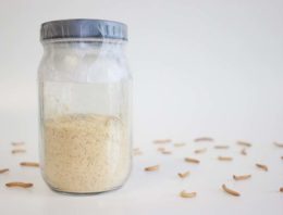 Voedsel van prooien verbetert biologische bestrijding roofmijten fors