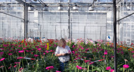 Extra miljoenen voor onderzoeksmodellen Wageningen University & Research